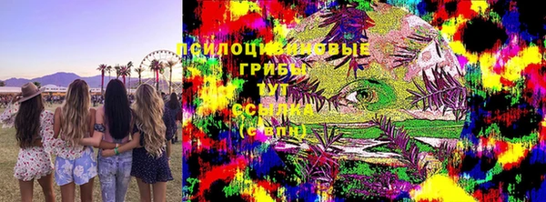 мяу мяу мука Михайловка