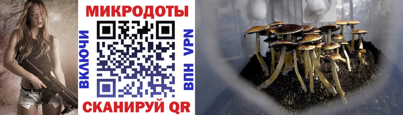 где можно купить Называевск это как зайти Галлюциногенные грибы GOLDEN TEACHER